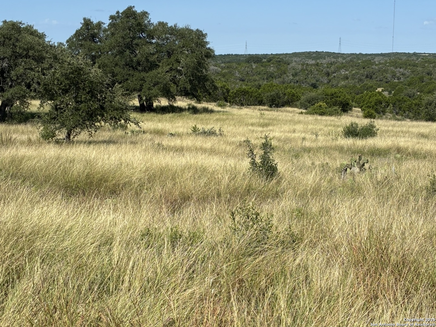 62 Northwest S Walcott Ridges Drive Harper, TX 78631 - Photo 2 of 4 a view of a lake view