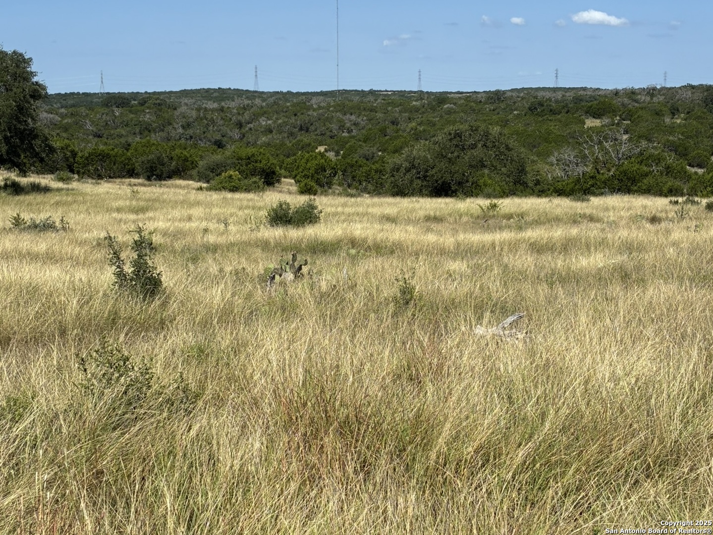 62 Northwest S Walcott Ridges Drive Harper, TX 78631 - Photo 4 of 4 a view of a yard