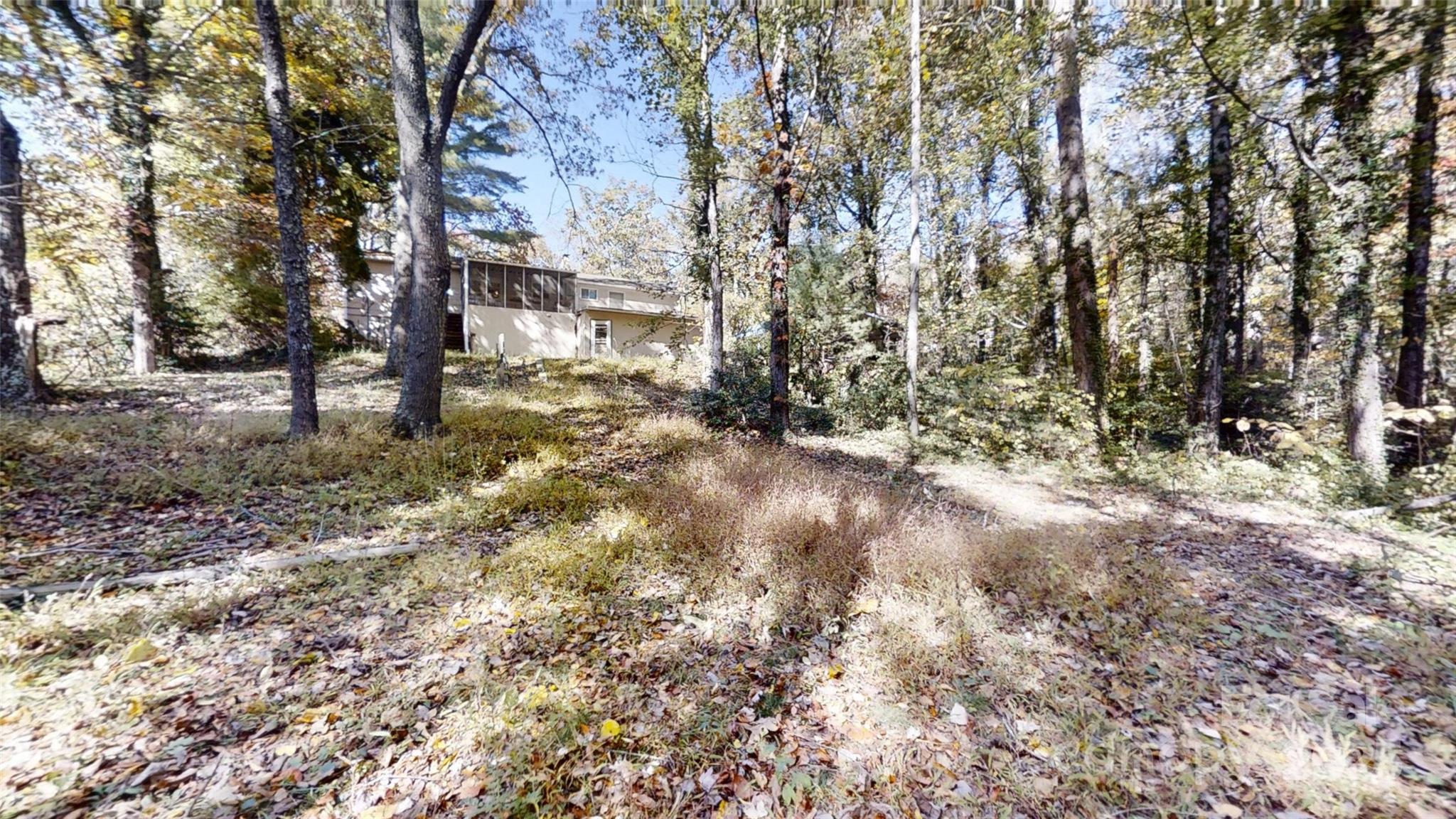 111 Cisco Road Asheville, NC 28805 - Photo 27 of 30 a view of a yard with trees