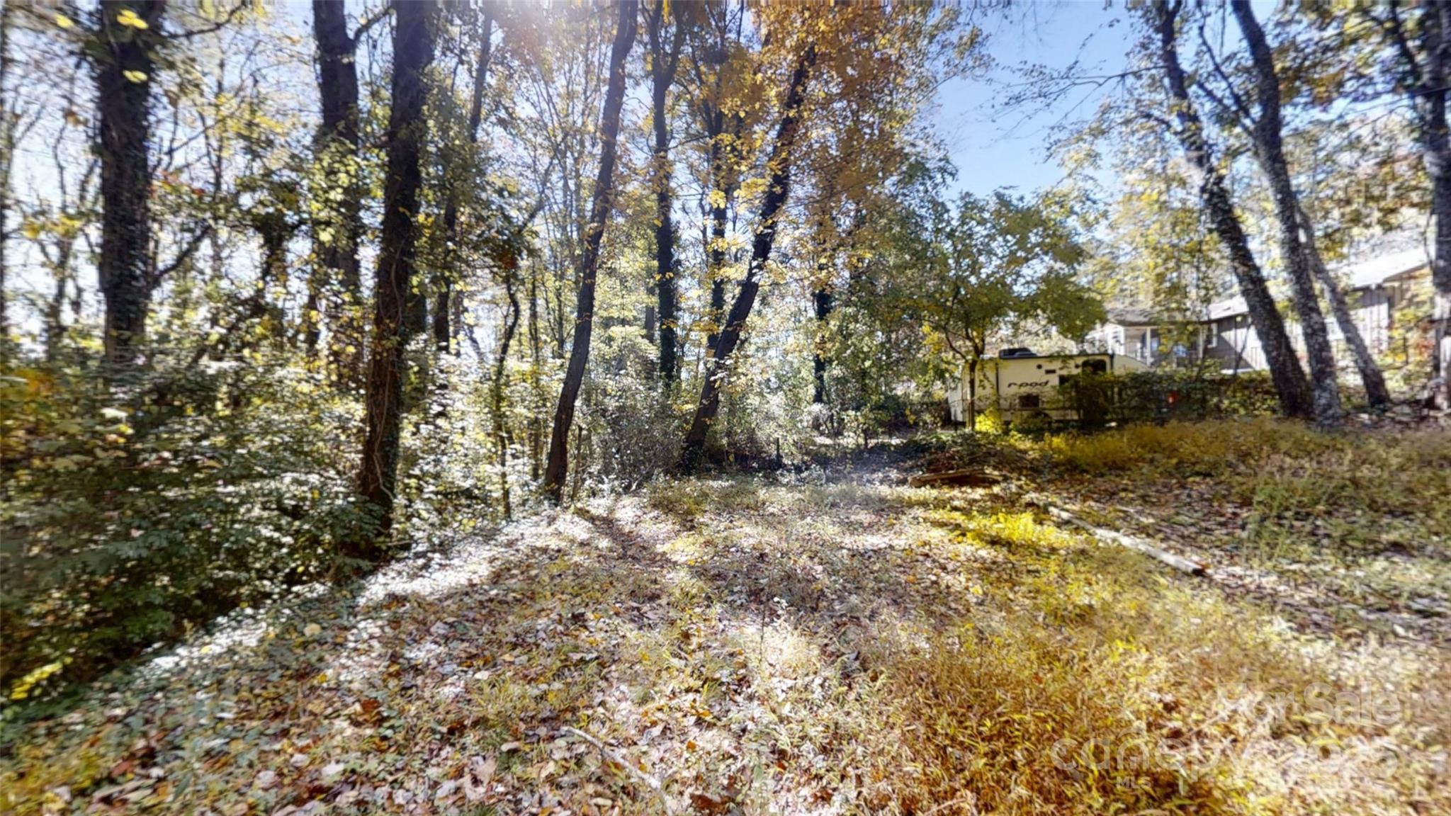 111 Cisco Road Asheville, NC 28805 - Photo 28 of 30 a view of a yard with large trees