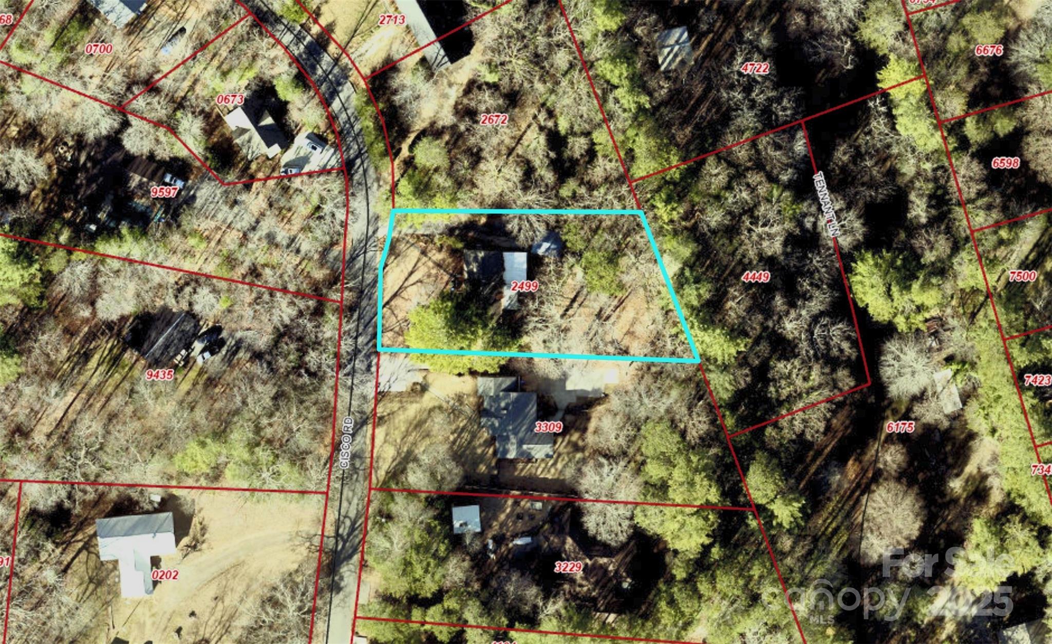 111 Cisco Road Asheville, NC 28805 - Photo 29 of 30