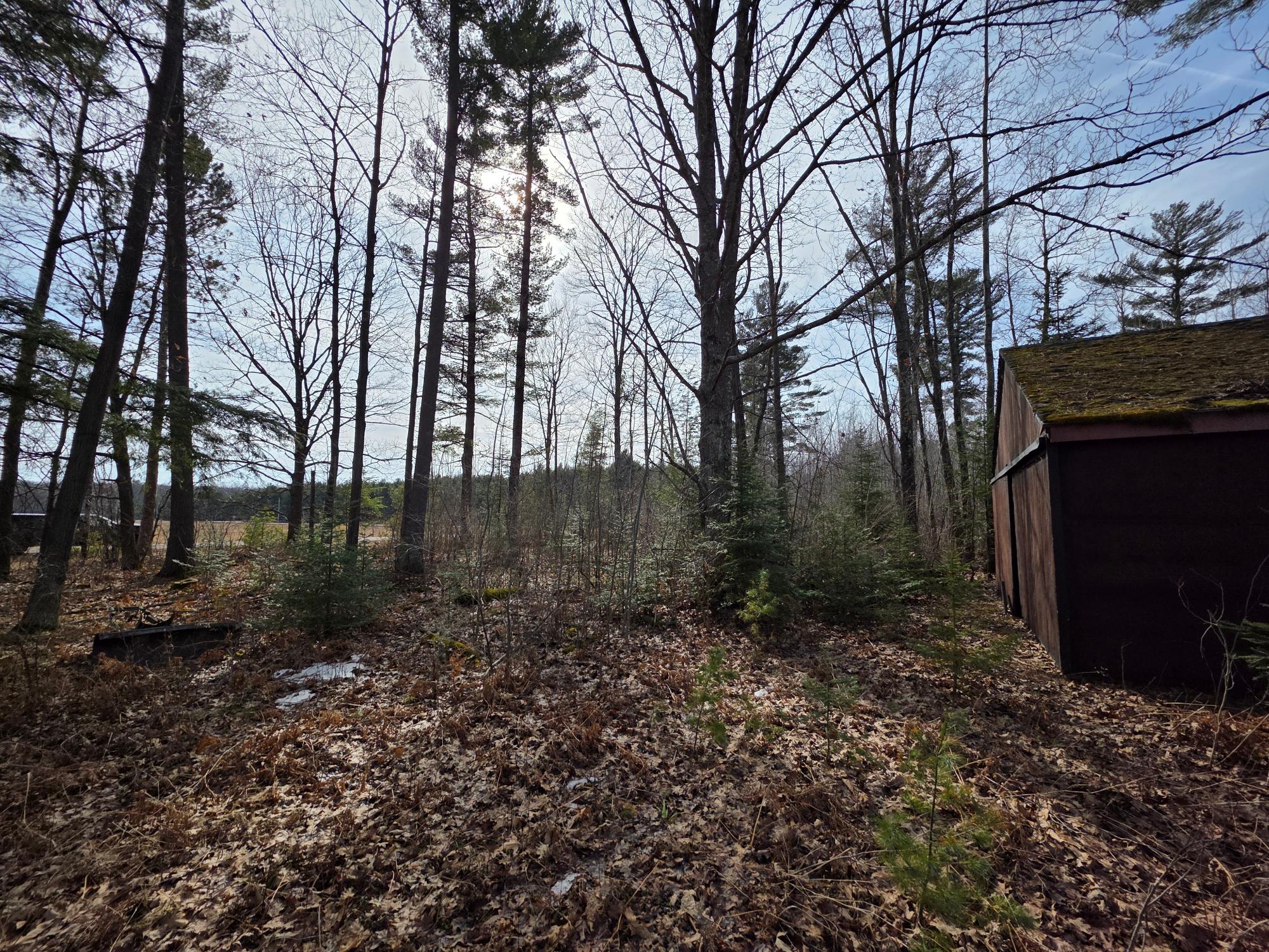 Off Herb Mitchell Road Tomahawk, WI 54487 - Photo 22 of 25 Gallery Image 22