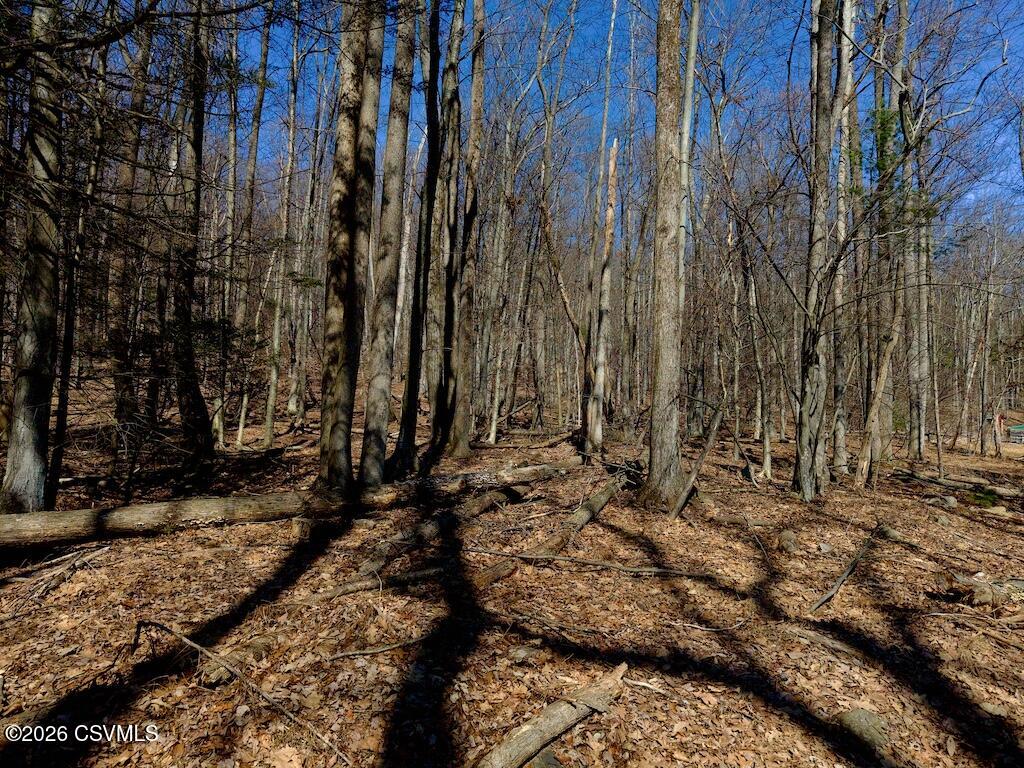 Squirrel Lane Shickshinny, PA 18655 - Photo 39 of 50