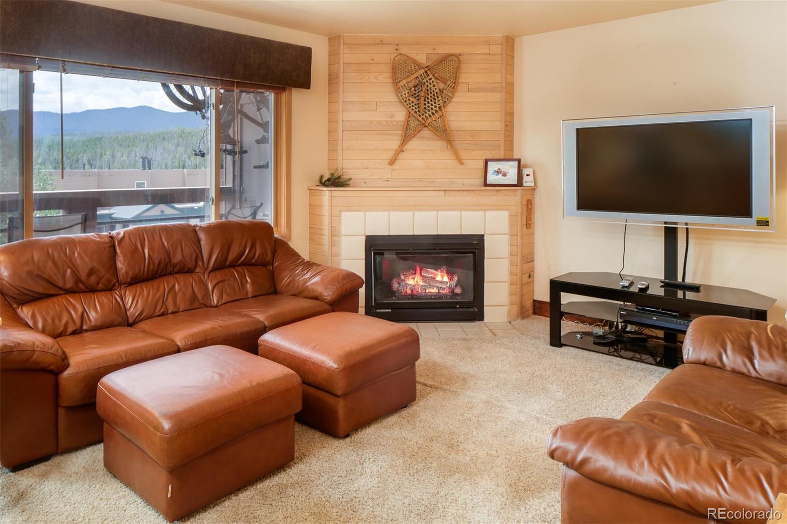 95600 Ryan Gulch Road, Unit 95614 Silverthorne, CO 80498 - Photo 5 of 11
