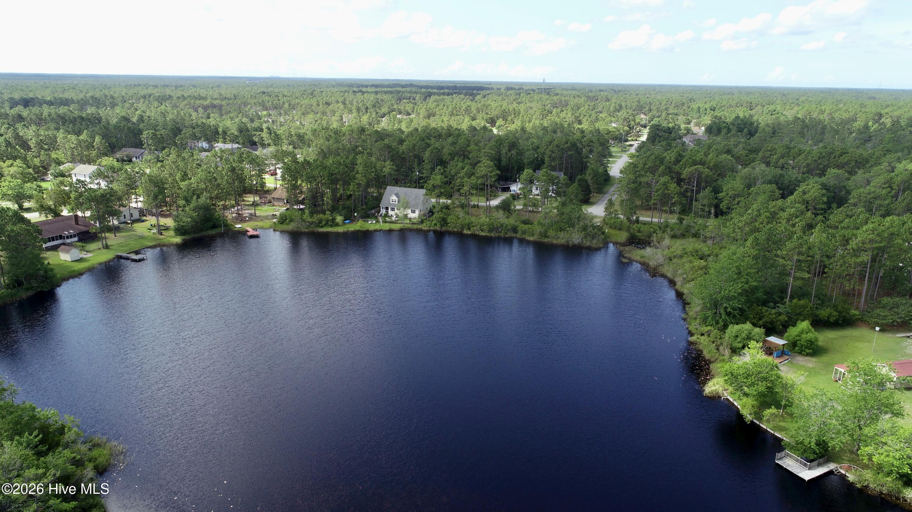 1400 Cottage Road Boiling Spring Lakes, NC 28461 - Photo 53 of 56 Stock lake photo. Representative