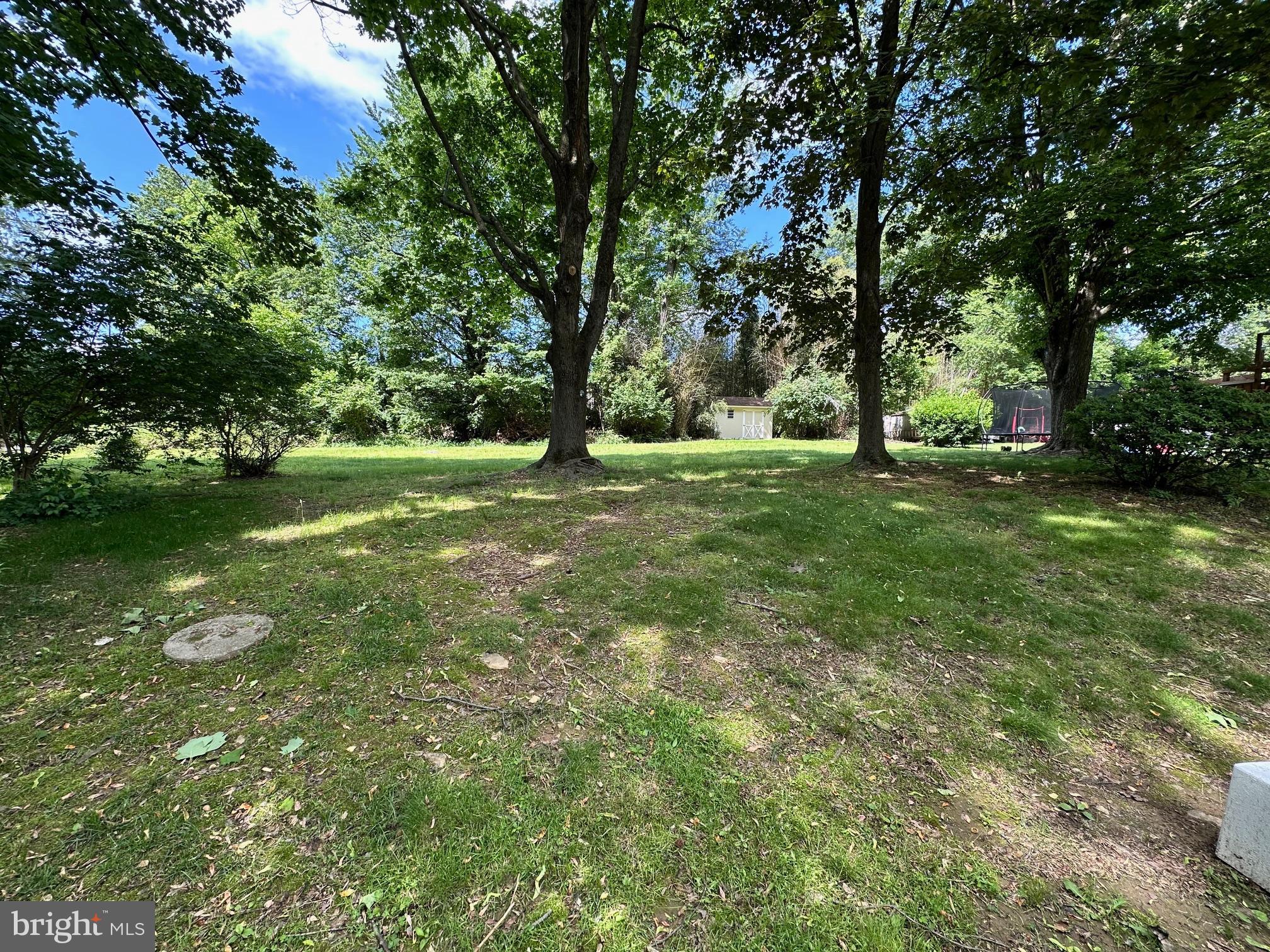 215 Bridge Road Upper Chichester, PA 19061 - Photo 33 of 35 a view of a trees in a yard