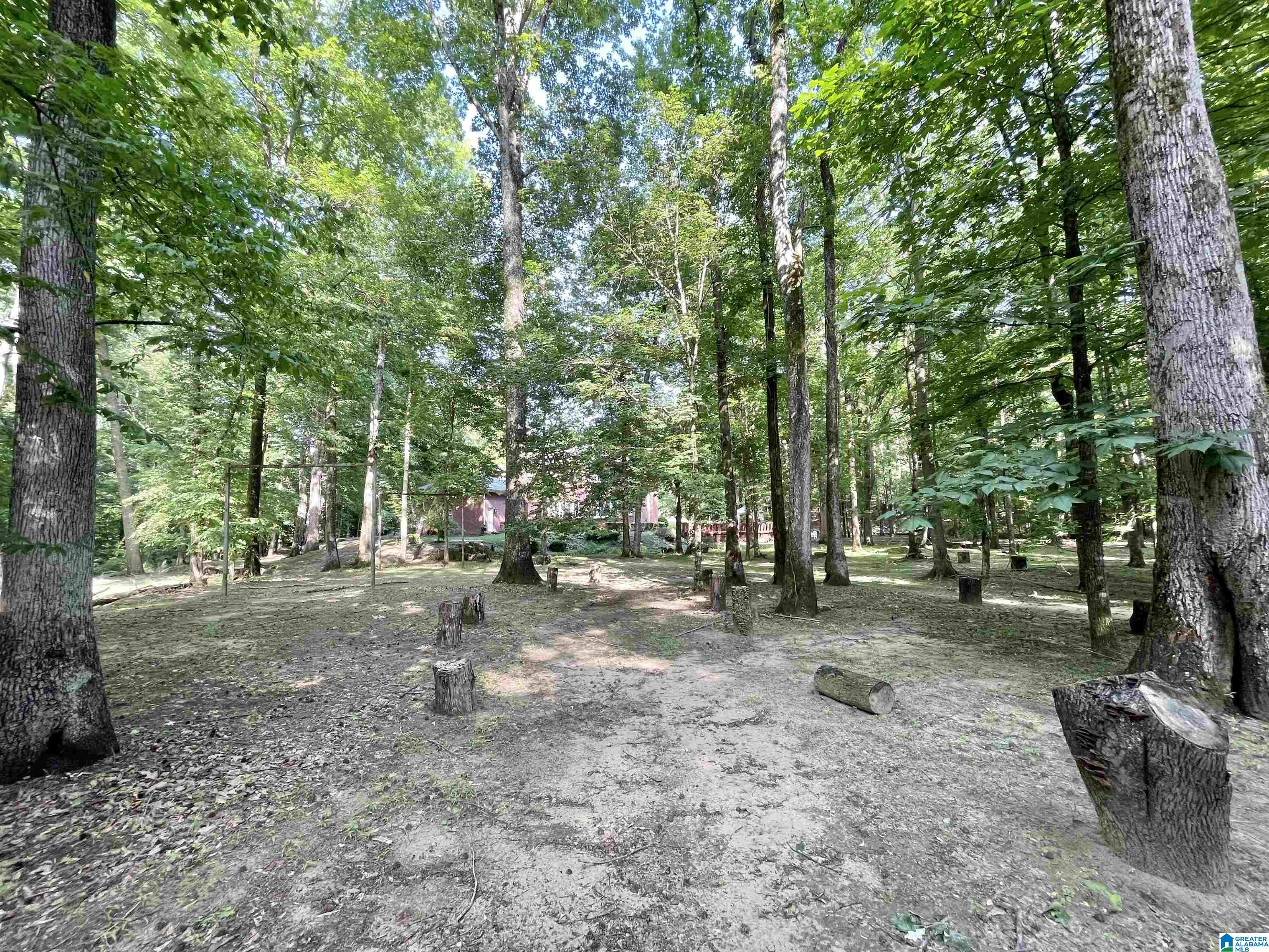 117 Hunset Mill Lane Pelham, AL 35124 - Photo 51 of 59