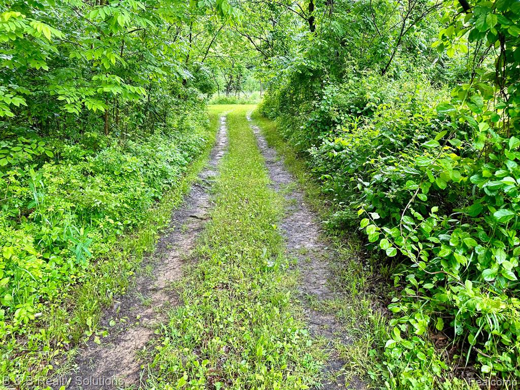 0 South Lake Pleasant Road Metamora, MI 48455 - Photo 7 of 32