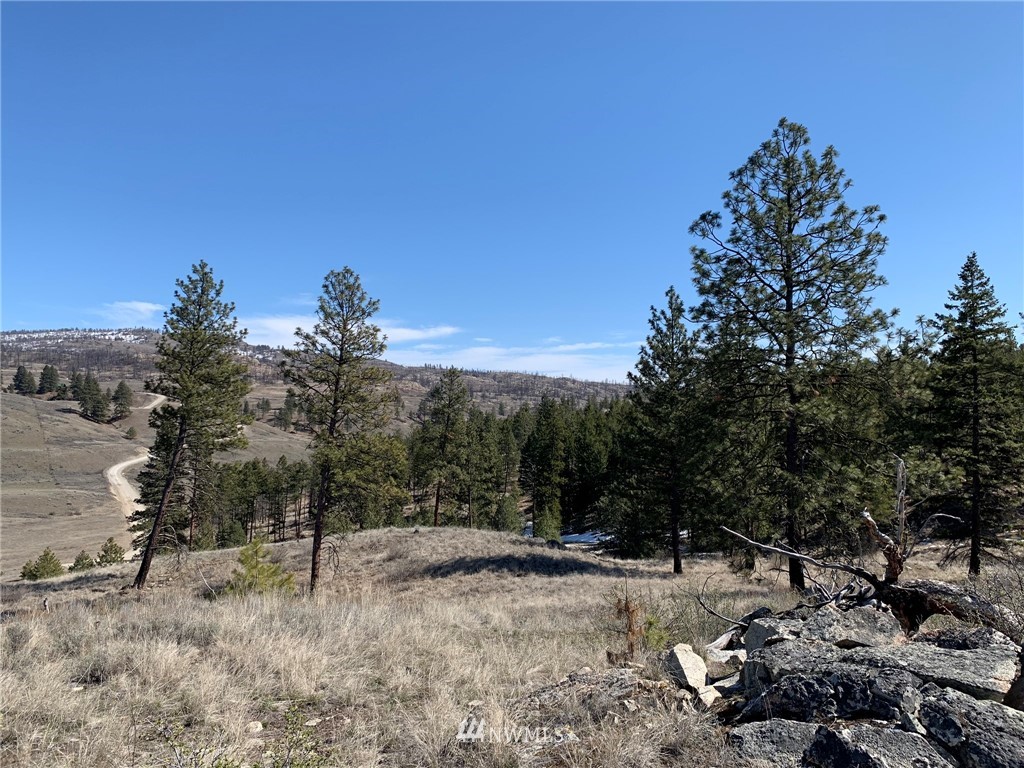 0 Homestead Spur Road Oroville, WA 98844 - Photo 1 of 22 Gallery Image 1