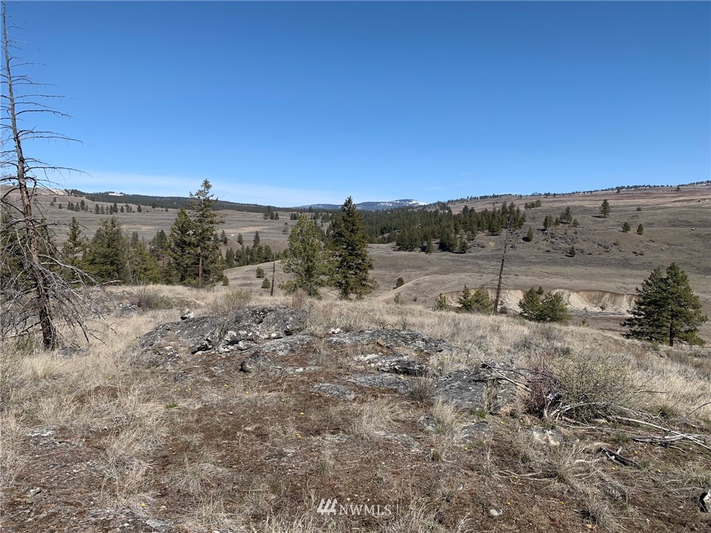 0 Homestead Spur Road Oroville, WA 98844 - Photo 2 of 22 Gallery Image 2