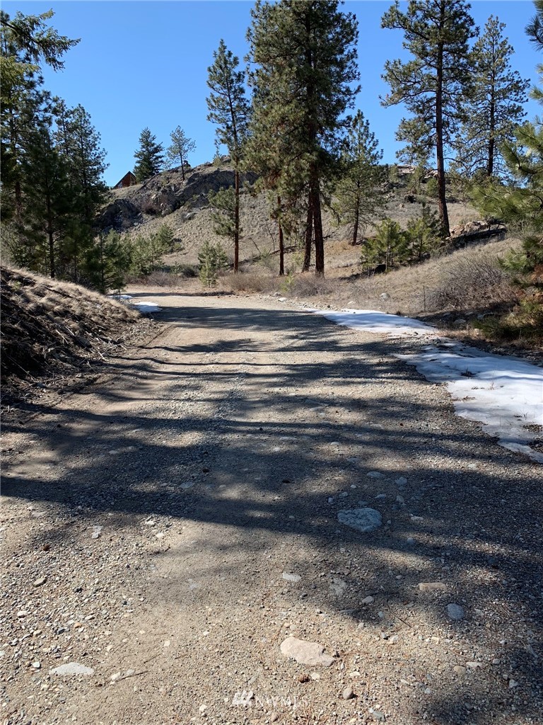 0 Homestead Spur Road Oroville, WA 98844 - Photo 11 of 22 Gallery Image 11