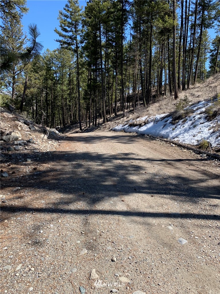 0 Homestead Spur Road Oroville, WA 98844 - Photo 12 of 22 Gallery Image 12