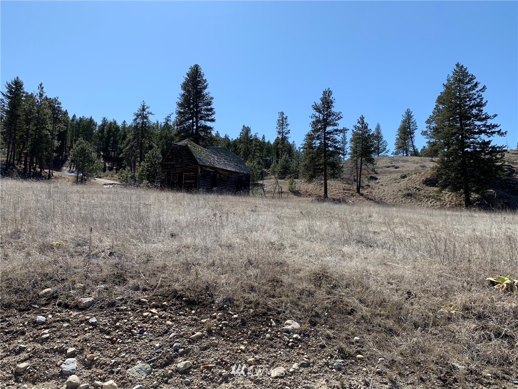 0 Homestead Spur Road Oroville, WA 98844 - Photo 13 of 22 Gallery Image 13