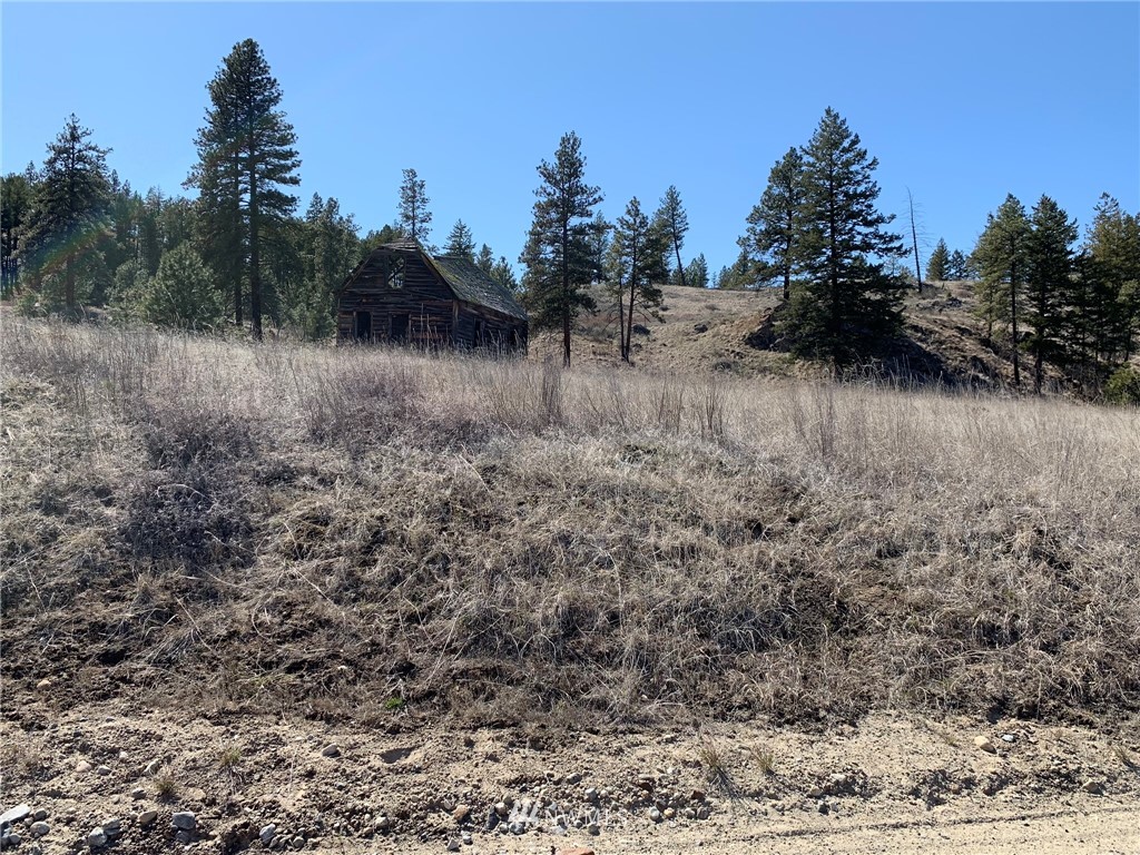 0 Homestead Spur Road Oroville, WA 98844 - Photo 15 of 22 Gallery Image 15