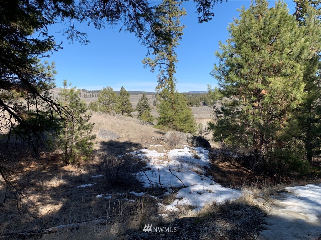 0 Homestead Spur Road Oroville, WA 98844 - Photo 16 of 22 Gallery Image 16