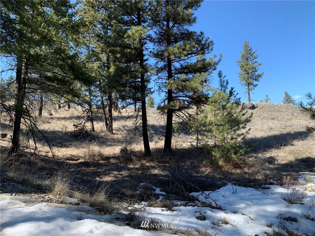 0 Homestead Spur Road Oroville, WA 98844 - Photo 17 of 22 Gallery Image 17