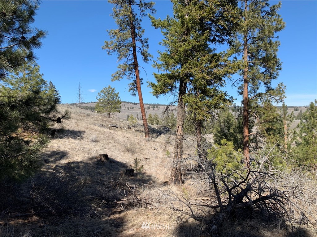 0 Homestead Spur Road Oroville, WA 98844 - Photo 18 of 22 Gallery Image 18