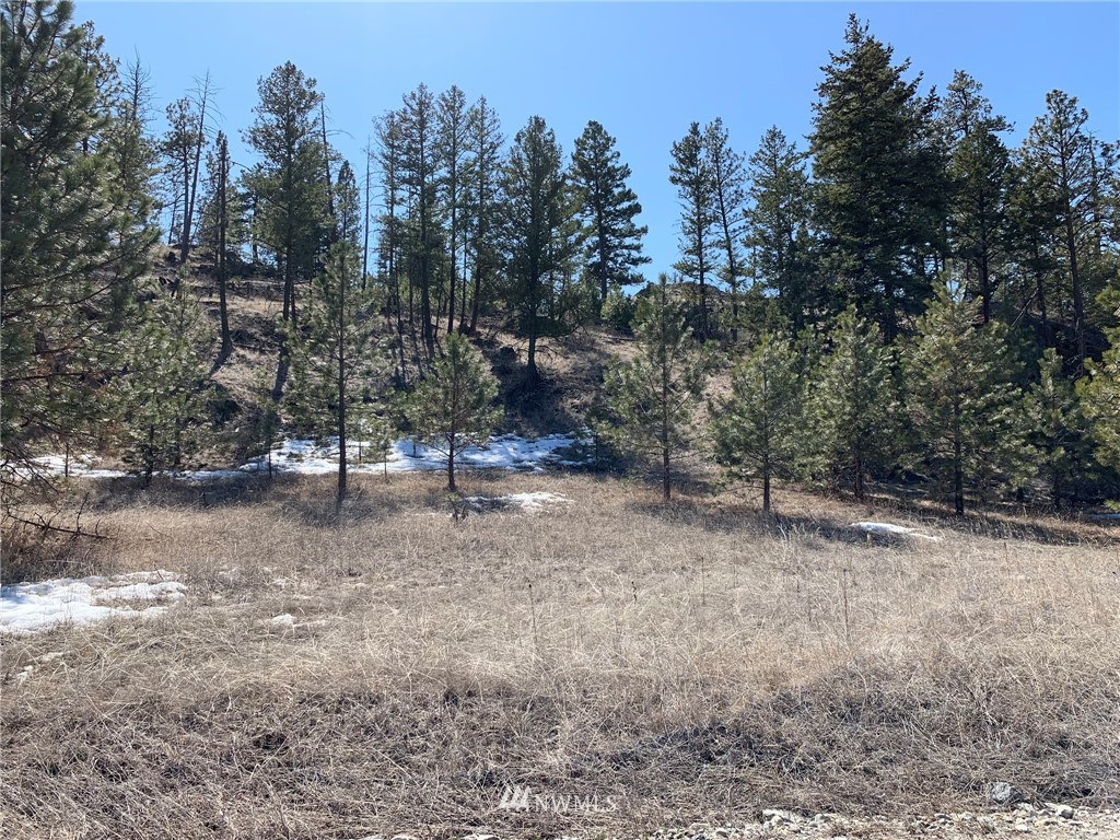 0 Homestead Spur Road Oroville, WA 98844 - Photo 19 of 22 Gallery Image 19