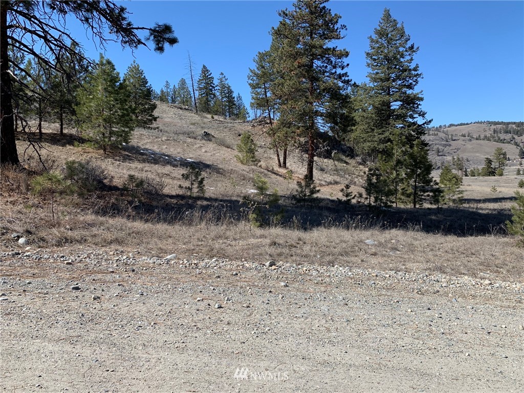 0 Homestead Spur Road Oroville, WA 98844 - Photo 20 of 22 Gallery Image 20
