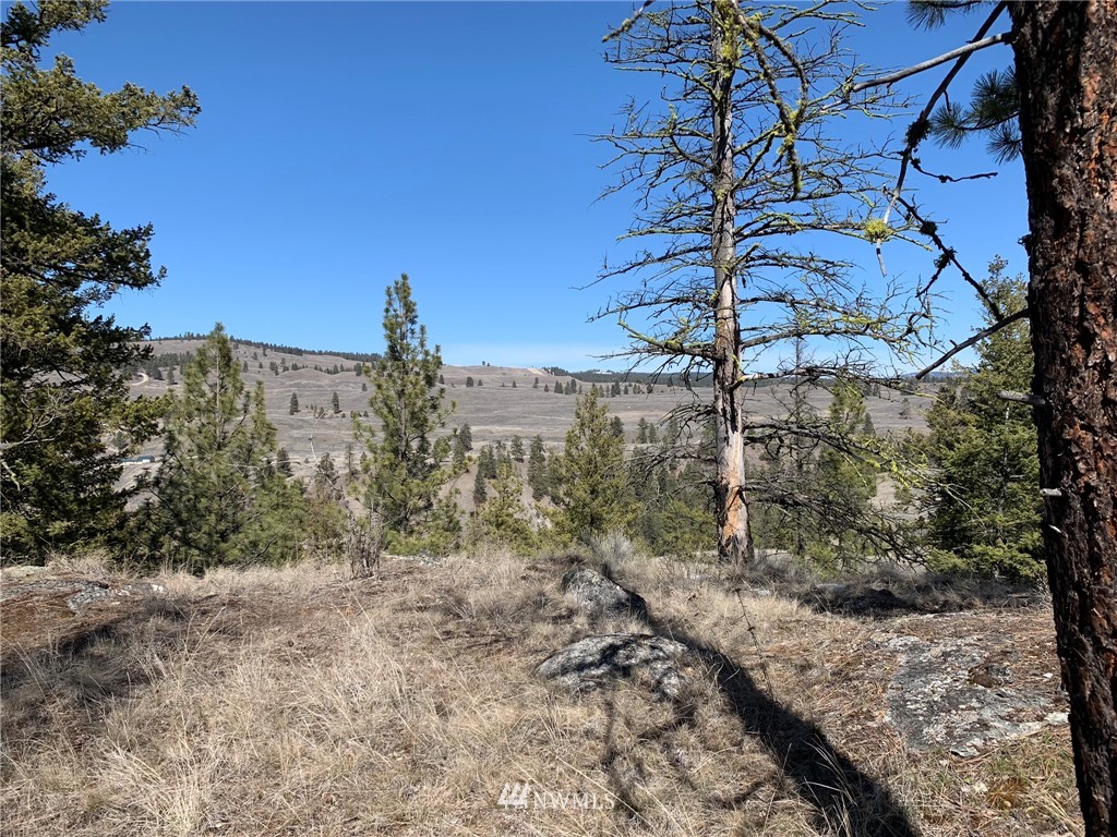 0 Homestead Spur Road Oroville, WA 98844 - Photo 3 of 22 Gallery Image 3