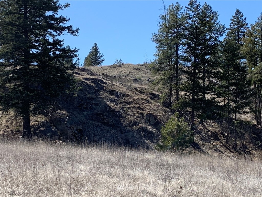 0 Homestead Spur Road Oroville, WA 98844 - Photo 21 of 22 Gallery Image 21