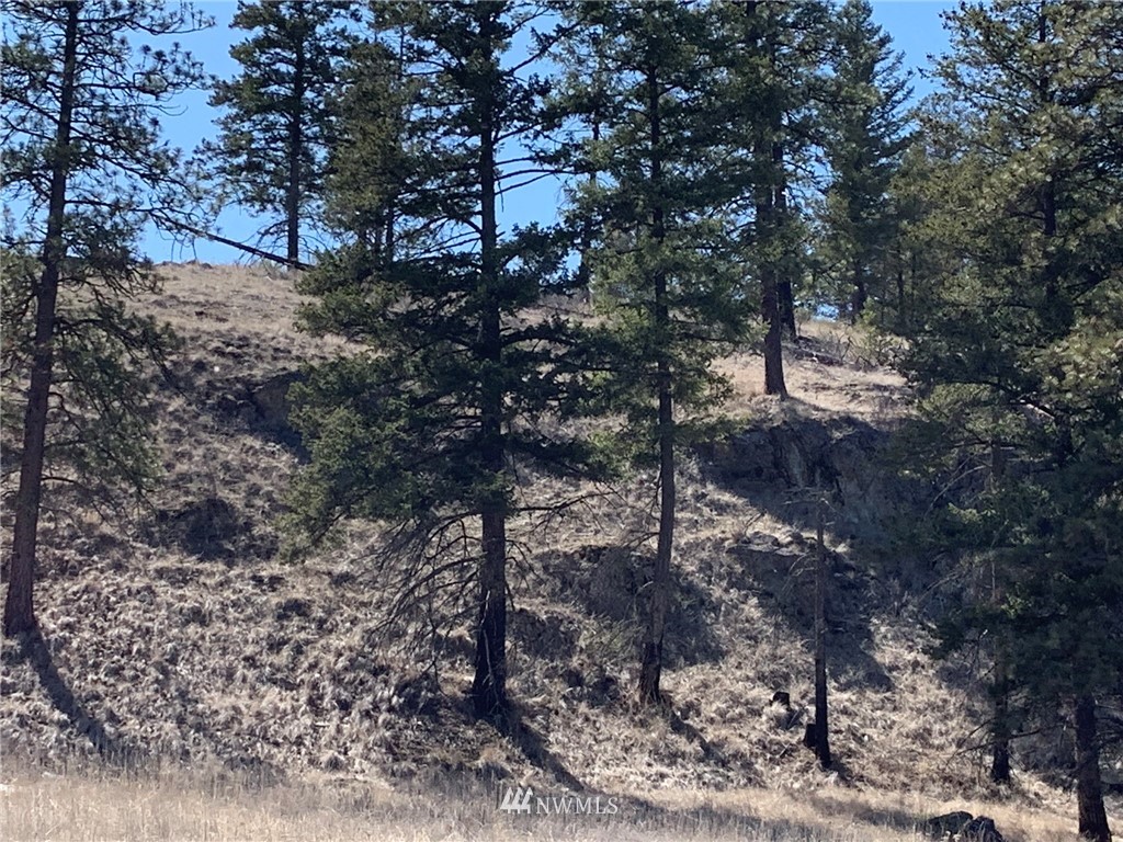 0 Homestead Spur Road Oroville, WA 98844 - Photo 22 of 22 Gallery Image 22