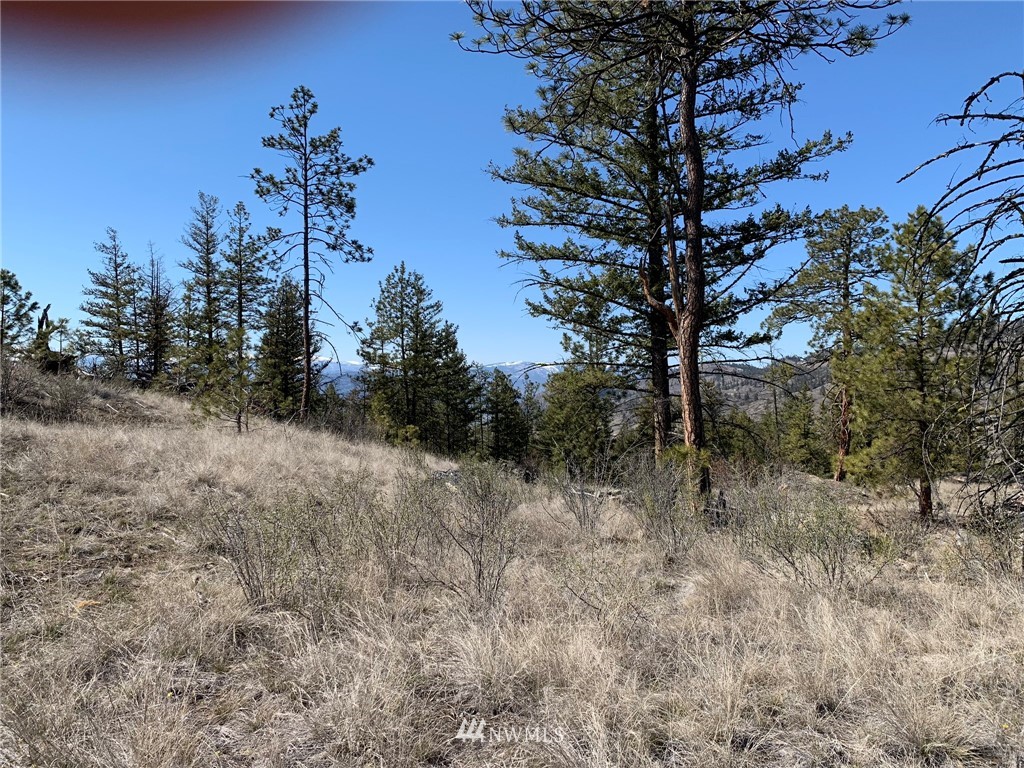 0 Homestead Spur Road Oroville, WA 98844 - Photo 4 of 22 Gallery Image 4
