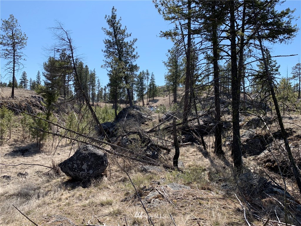 0 Homestead Spur Road Oroville, WA 98844 - Photo 5 of 22 Gallery Image 5