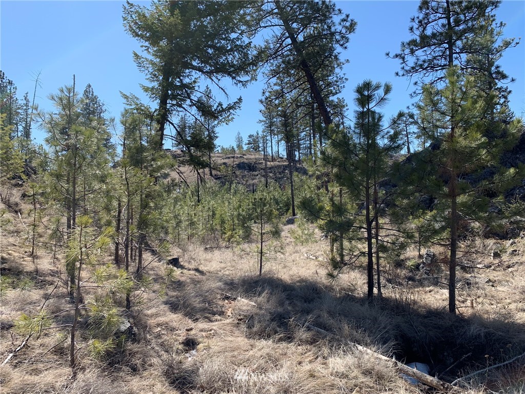 0 Homestead Spur Road Oroville, WA 98844 - Photo 6 of 22 Gallery Image 6