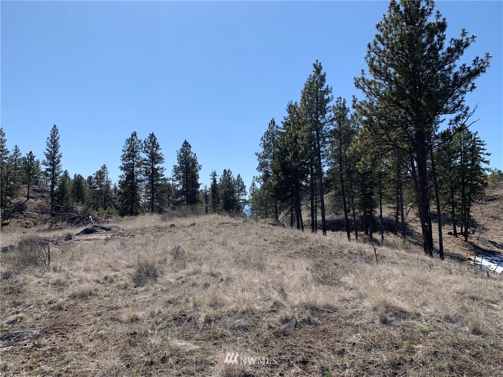 0 Homestead Spur Road Oroville, WA 98844 - Photo 7 of 22 Gallery Image 7