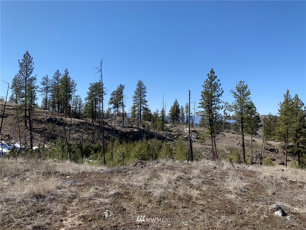 0 Homestead Spur Road Oroville, WA 98844 - Photo 8 of 22 Gallery Image 8