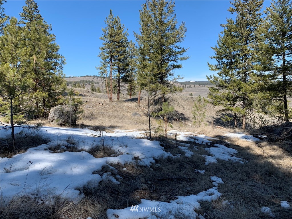0 Homestead Spur Road Oroville, WA 98844 - Photo 10 of 22 Gallery Image 10