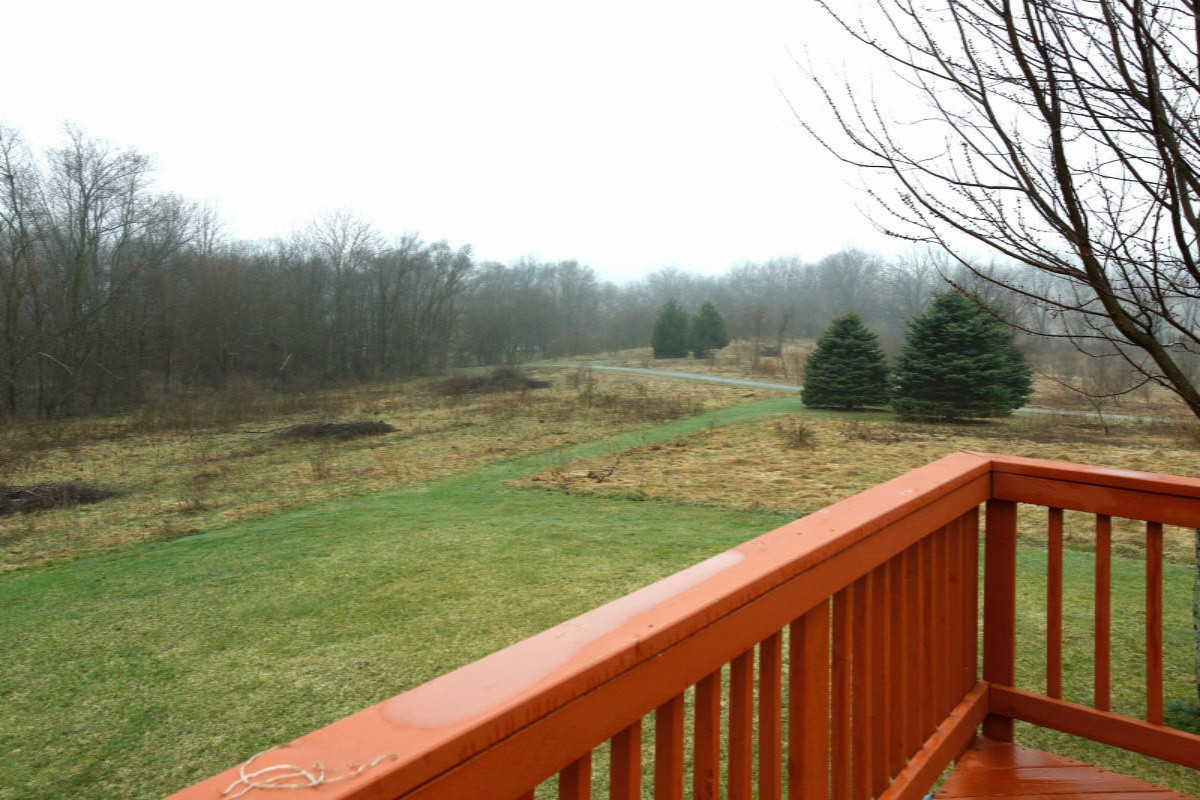 10600 Lucas Road Three Rivers, MI 49093 - Photo 29 of 40 15014910_28