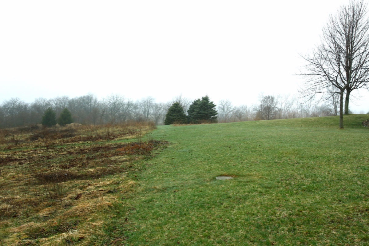 10600 Lucas Road Three Rivers, MI 49093 - Photo 34 of 40 15014910_33