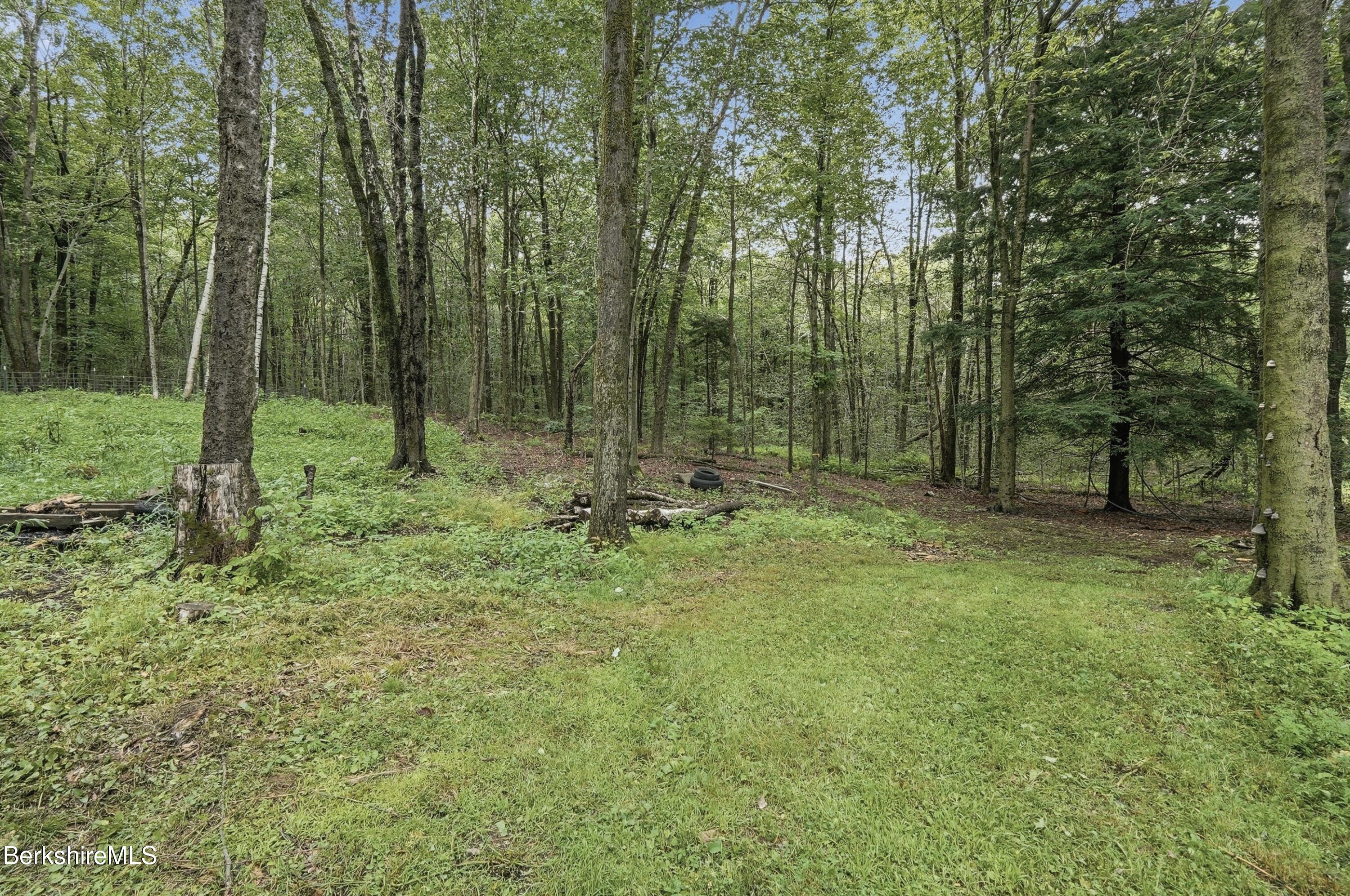 125 Middlefield Road Peru, MA 01235 - Photo 46 of 54 backyard