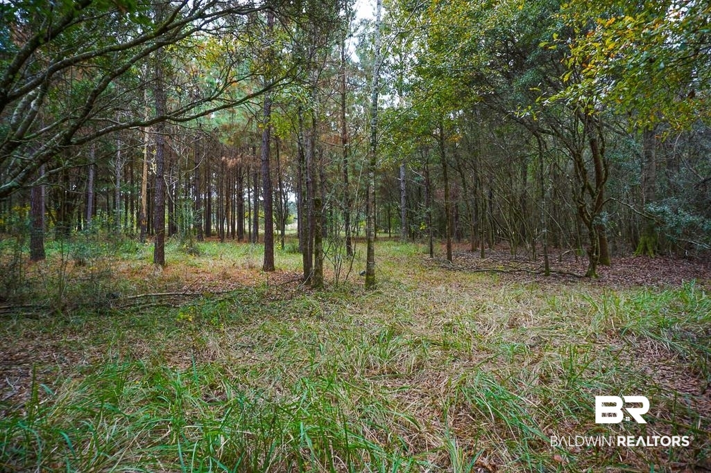 0 Smith Young Road Mobile, AL 36695 - Photo 5 of 8 View of wooded area