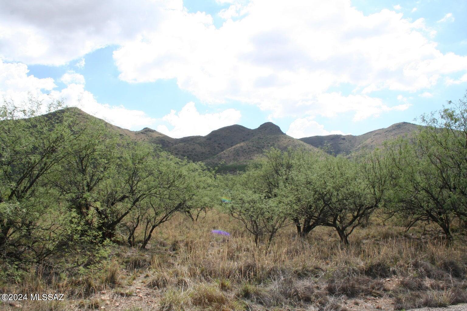 80 Morning Star Drive Rio Rico, AZ 85648 - Photo 13 of 30