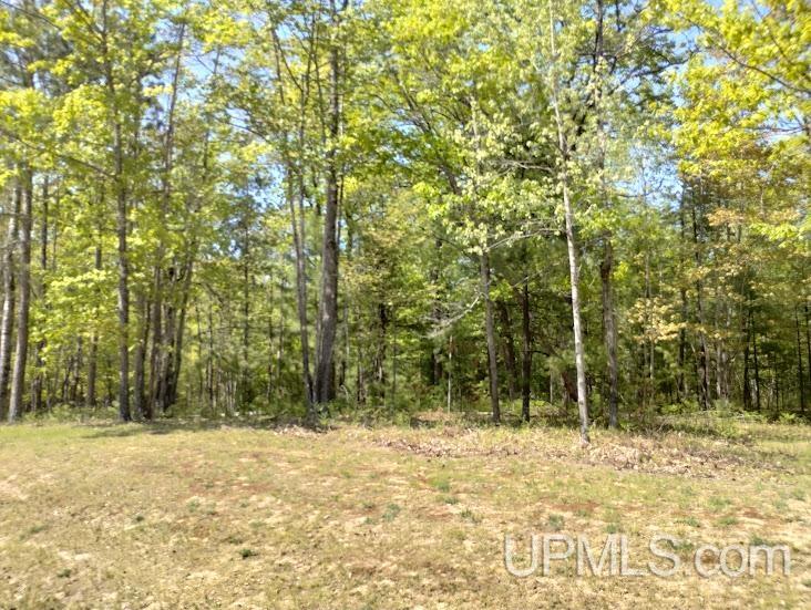10494 Breezy R.22 Lane Rapid River, MI 49878 - Photo 3 of 5