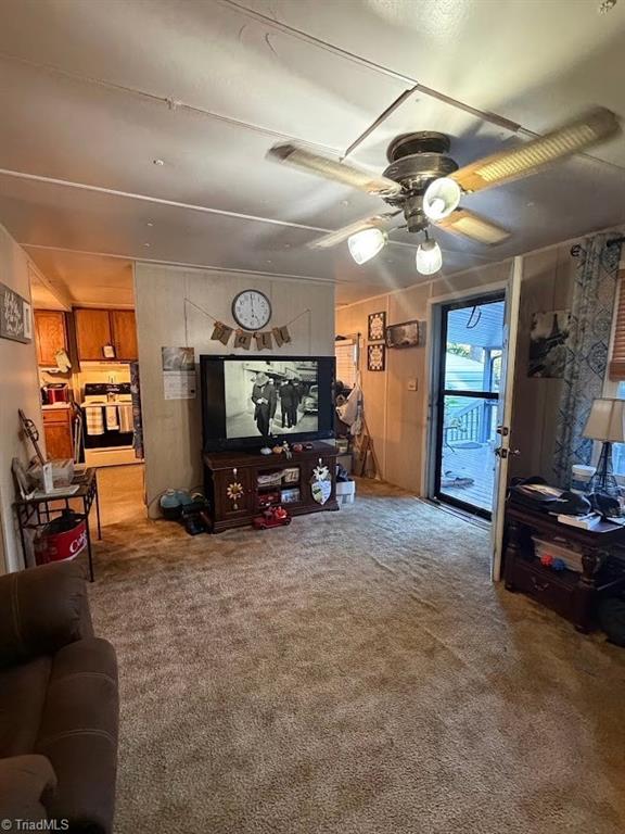 4869 Old Edgar Road Sophia, NC 27350 - Photo 21 of 22