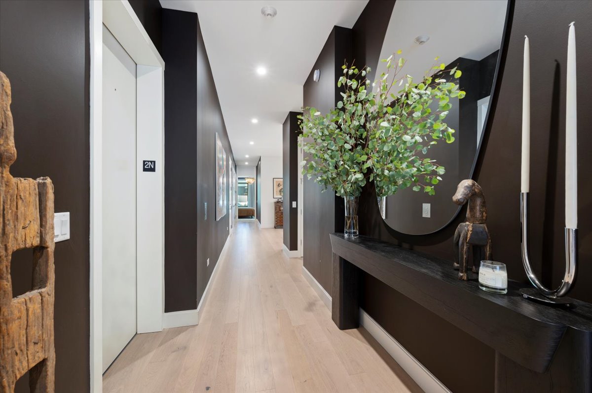 36 North Carpenter Street, Unit 2N Chicago, IL 60607 - Photo 5 of 26 a hallway with white walls and a potted plant