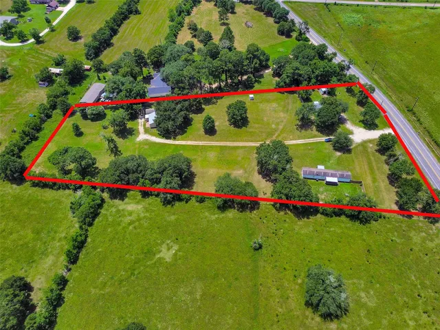 a view of a garden with flowers and plants