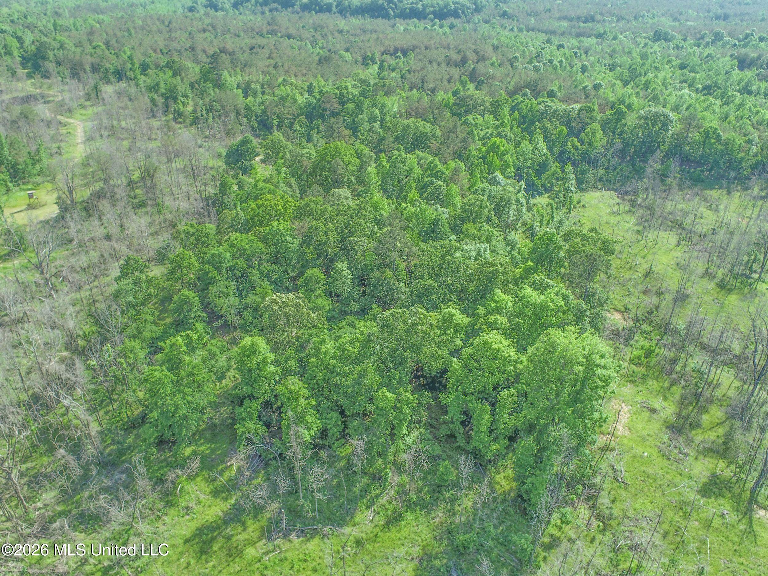 Wayne Massie Road Como, MS 38619 - Photo 25 of 184 3ctwmrd9