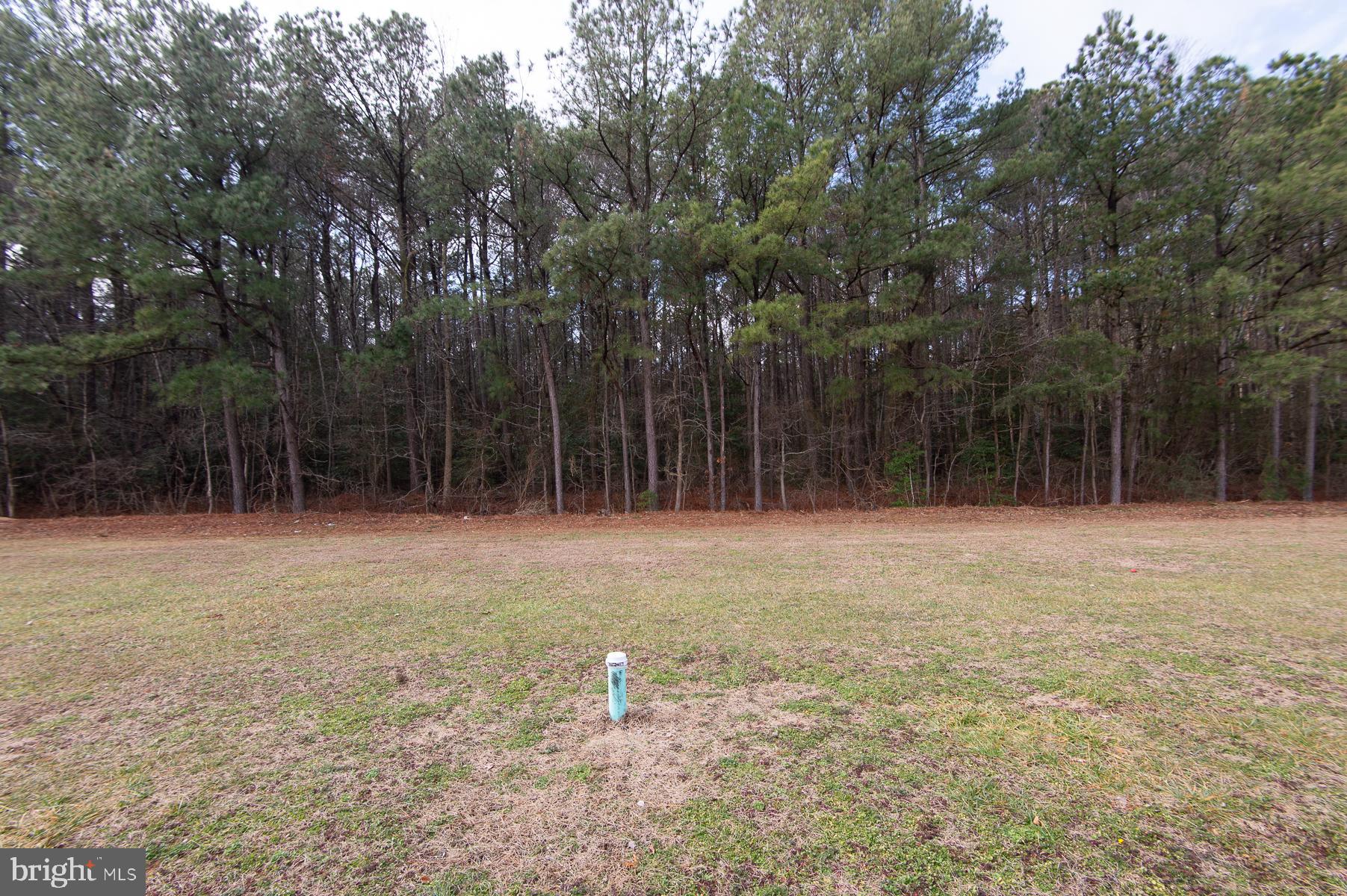 460 Long Branch Road, Unit 45819 Seaford, DE 19973 - Photo 28 of 31