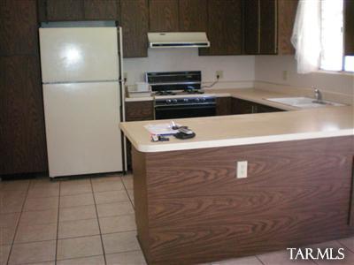 8520 East Desert Spring Street Tucson, AZ 85730 - Photo 4 of 12