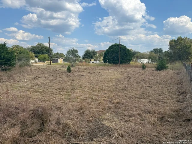 a view of a dry yard with trees