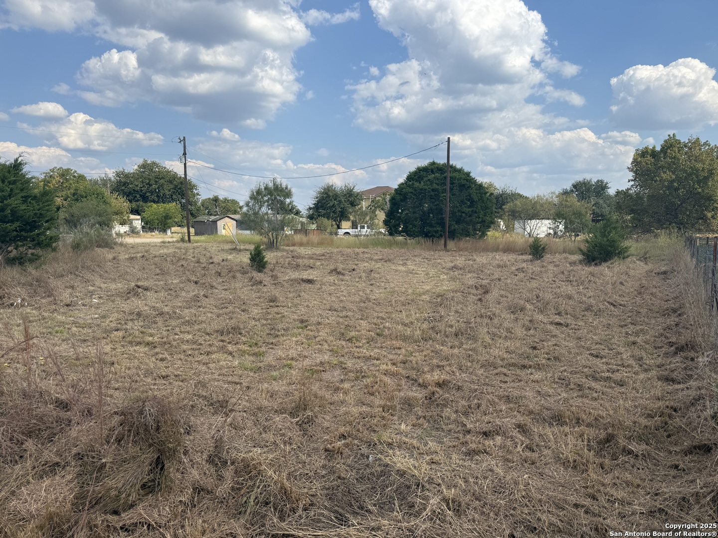 a view of a dry yard with trees