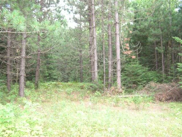 6340 Steve Javenkowski Road Three Lakes, WI 54562 - Photo 11 of 15 Gallery Image 11