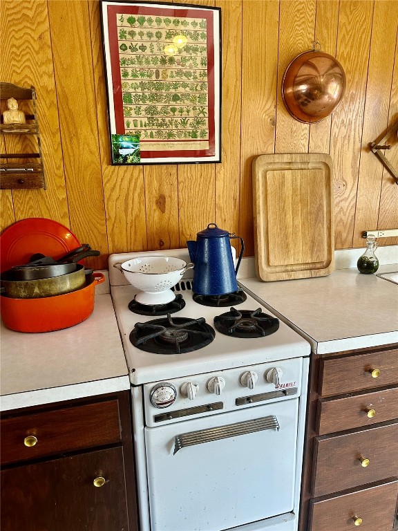 2190 Kootchie Kootchie Road Alma, CO 80420 - Photo 17 of 35 a stove top oven sitting inside of a kitchen