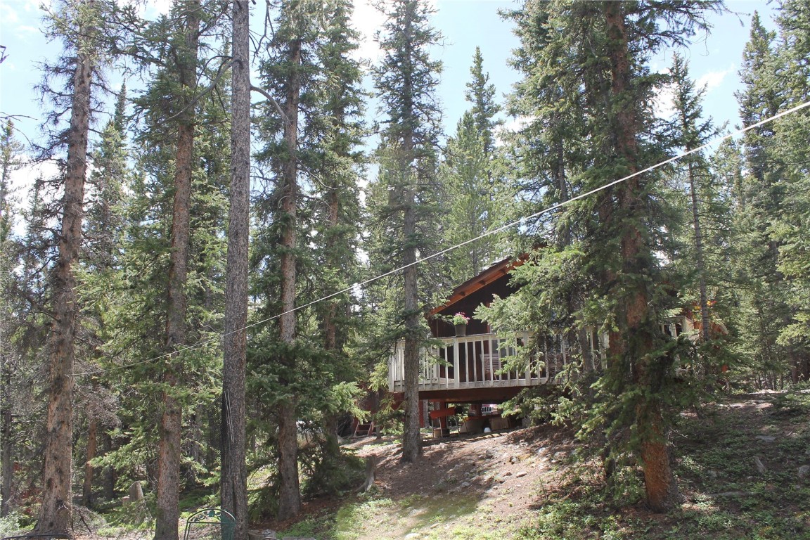 2190 Kootchie Kootchie Road Alma, CO 80420 - Photo 20 of 35 a view of a house with a yard