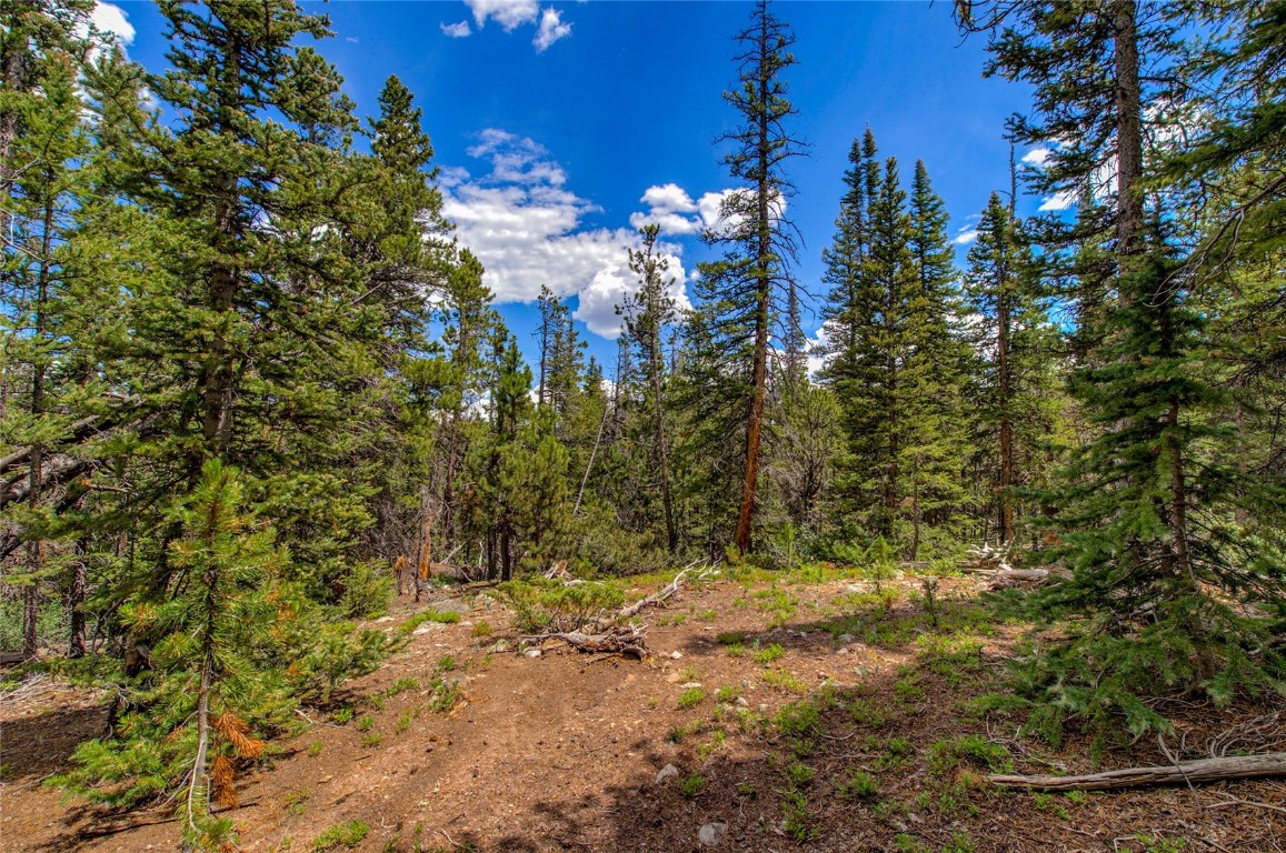 2190 Kootchie Kootchie Road Alma, CO 80420 - Photo 2 of 35 a view of a house with a tree